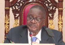 Firestorm Over Chin’ono’s Claims on Mutharika’s Health Firestorm Over Chin’ono’s Claims on Mutharika’s Health