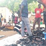 Traders use pesticide to preserve fish Traders use pesticide to preserve fish