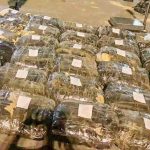 Three Malawians nabbed in South Africa drug bust Three Malawians nabbed in South Africa drug bust