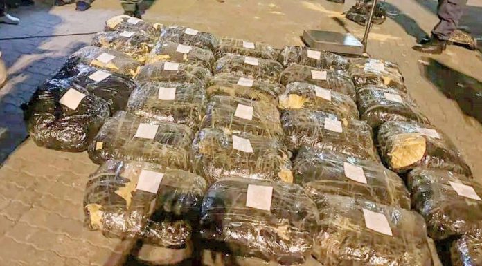 Three Malawians nabbed in South Africa drug bust Three Malawians nabbed in South Africa drug bust
