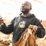Contracted vs non-contracted tobacco farmers: Two different realities on Malawi’s auction floors Contracted vs non-contracted tobacco farmers: Two different realities on Malawi’s auction floors