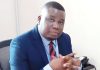 National maize output to be average— Report National maize output to be average— Report