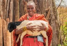 Maasai Women Grow Fodder to Save Livestock Maasai Women Grow Fodder to Save Livestock