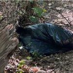 Woman Found Dead in Sack at Graveyard After Stabbing Woman Found Dead in Sack at Graveyard After Stabbing