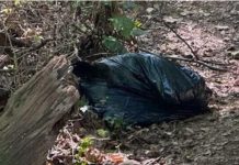 Woman Found Dead in Sack at Graveyard After Stabbing Woman Found Dead in Sack at Graveyard After Stabbing