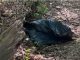 Woman Found Dead in Sack at Graveyard After Stabbing Woman Found Dead in Sack at Graveyard After Stabbing