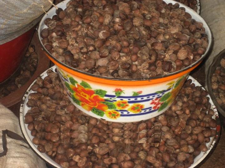 Conférence nationale sur le karité : Un nouveau pari pour le développement de la filière karité Conférence nationale sur le karité : Un nouveau pari pour le développement de la filière karité