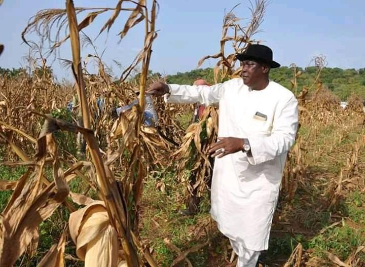 Cour d’assises : Ce que risque Bakary Togola lâché par ses alliés politiques Cour d’assises : Ce que risque Bakary Togola lâché par ses alliés politiques
