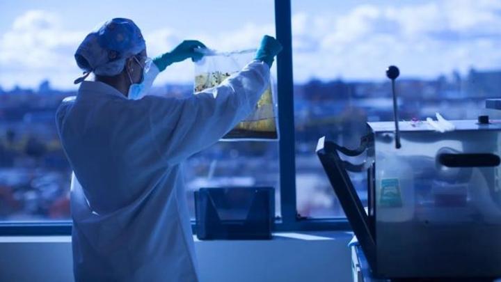 Biologie humaine : comment votre microbiome peut améliorer votre santé Biologie humaine : comment votre microbiome peut améliorer votre santé