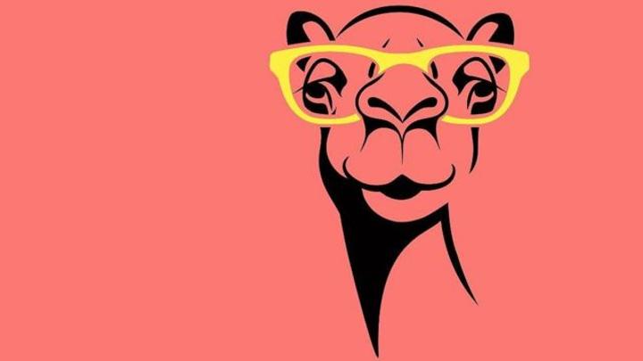 Animaux : comment les chameaux peuvent contribuer à prolonger la durée de conservation des médicaments (et bien plus encore) Animaux : comment les chameaux peuvent contribuer à prolonger la durée de conservation des médicaments (et bien plus encore)