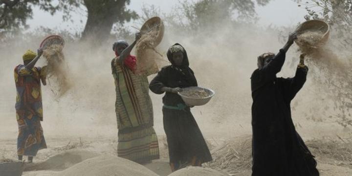 Mali : la suspension des exportations, une fausse bonne idée ? Mali : la suspension des exportations, une fausse bonne idée ?