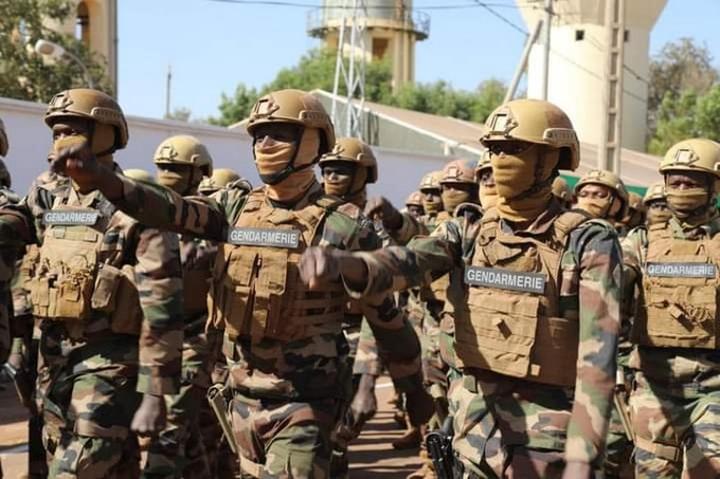 Sécurité : La grosse moisson des FAMa Sécurité : La grosse moisson des FAMa