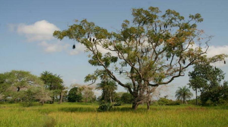 rencontre avec le chef du MFDC qui accuse la Cédéao d’être à l’origine de tensions rencontre avec le chef du MFDC qui accuse la Cédéao d’être à l’origine de tensions