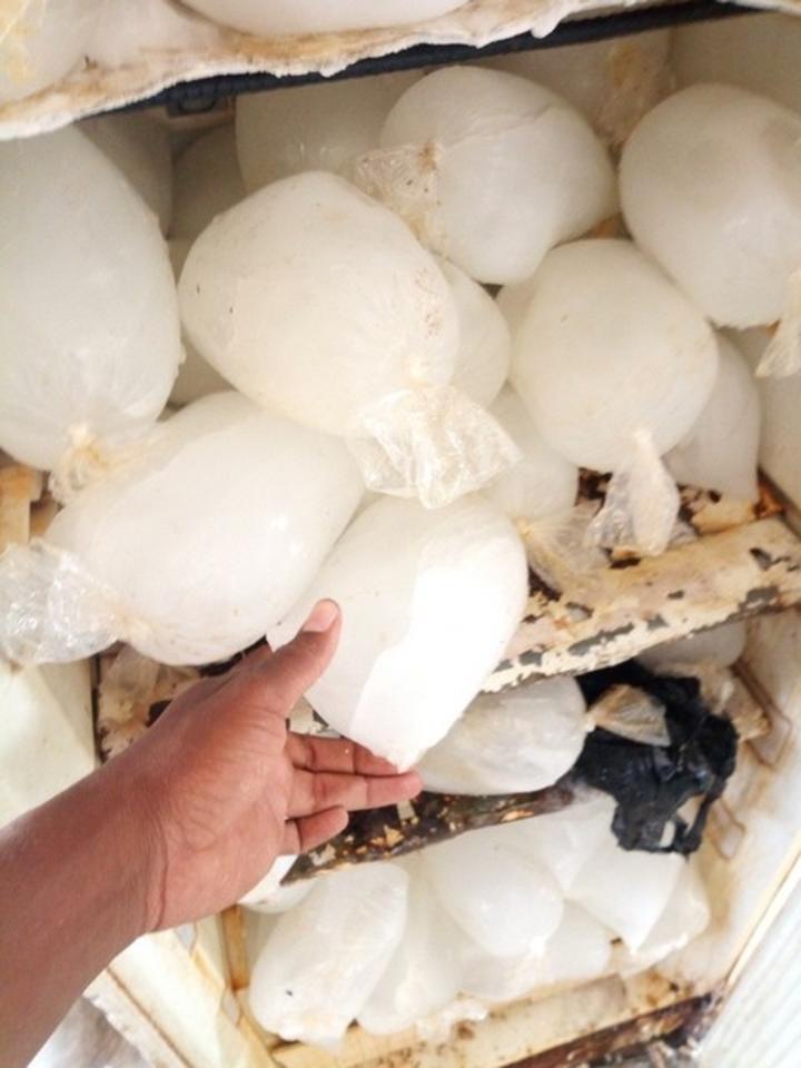 Kati : Les bonnes affaires des vendeuses de glace Kati : Les bonnes affaires des vendeuses de glace