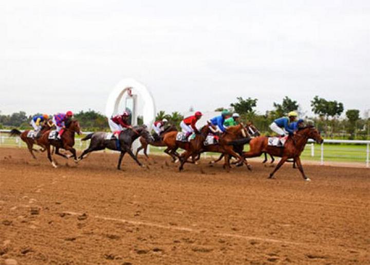 Grande course des chevaux au champ hippique de Bamako ce dimanche : L’événement est placé sous le haut parrainage de El Hadj Mohamed Sacko Grande course des chevaux au champ hippique de Bamako ce dimanche : L’événement est placé sous le haut parrainage de El Hadj Mohamed Sacko