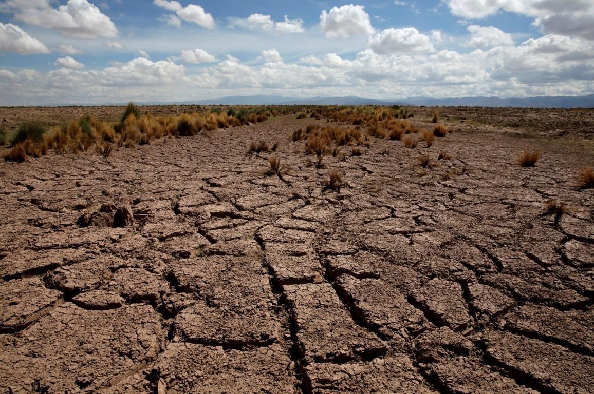 Dérèglement climatique : mieux lutter contre la sécheresse est une priorité planétaire