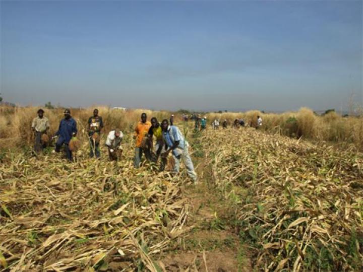 Affaire des intrants de la campagne agricole 2021-2022 : Le Front Populaire Contre la Vie Chère exige l’ouverture d’une enquête pour situer les responsabilités et punir les coupables Affaire des intrants de la campagne agricole 2021-2022 : Le Front Populaire Contre la Vie Chère exige l’ouverture d’une enquête pour situer les responsabilités et punir les coupables