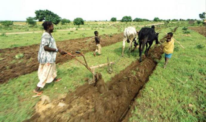 Amélioration de la productivité agricole et renforcer la résilience des ménages ruraux vivant dans les zones arides : La Banque mondiale accorde un crédit de 30 millions de dollars au Mali Amélioration de la productivité agricole et renforcer la résilience des ménages ruraux vivant dans les zones arides : La Banque mondiale accorde un crédit de 30 millions de dollars au Mali