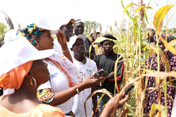 Tamani : quelque 300 agriculteurs découvrent les variétés de culture qui résistent au changement climatique Tamani : quelque 300 agriculteurs découvrent les variétés de culture qui résistent au changement climatique