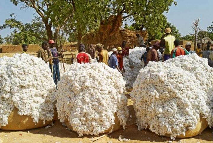 Fédération des producteurs d’huile d’aliment bétail du Mali (FENAPHAB) : « On n’a bénéficié d’aucune exonération de l’Etat » Fédération des producteurs d’huile d’aliment bétail du Mali (FENAPHAB) : « On n’a bénéficié d’aucune exonération de l’Etat »