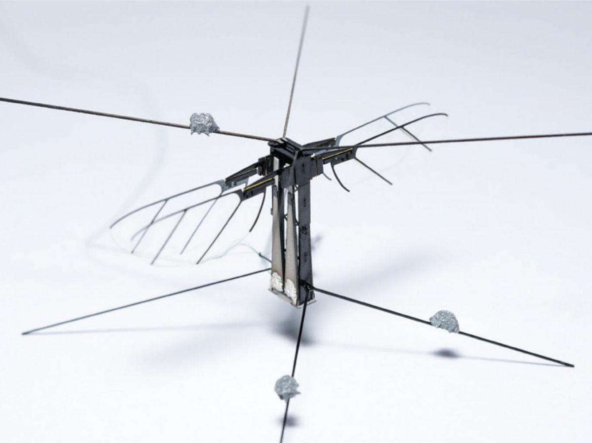 Un robot capable d’imiter l’abeille à la perfection Un robot capable d’imiter l’abeille à la perfection