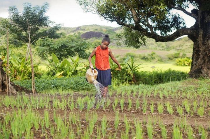 La Banque mondiale invite les Etats à réorienter les fonds destinés à la subvention pour l’agriculture, la pêche et les combustibles fossiles dans la lutte contre les changements climatiques La Banque mondiale invite les Etats à réorienter les fonds destinés à la subvention pour l’agriculture, la pêche et les combustibles fossiles dans la lutte contre les changements climatiques
