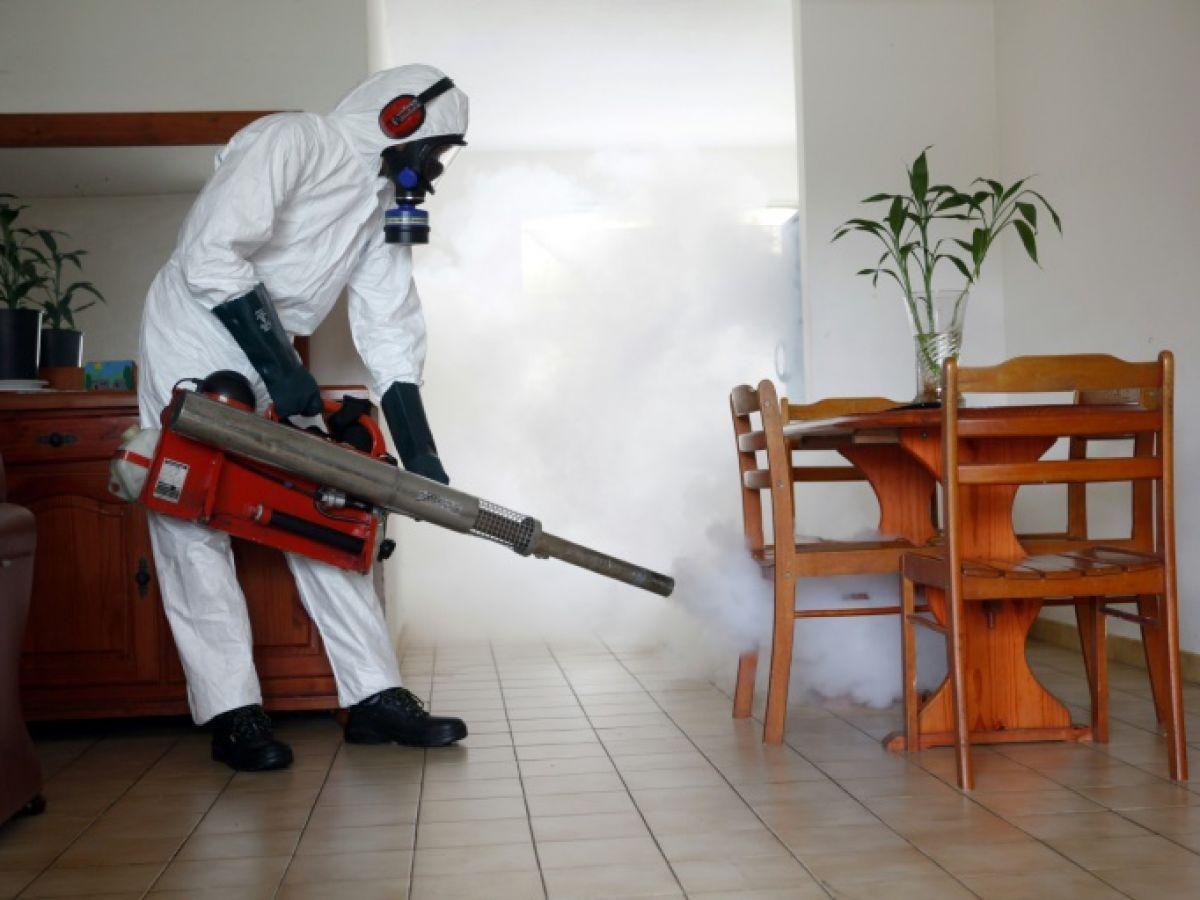 L’épidémie de dengue progresse en Guadeloupe et Martinique L’épidémie de dengue progresse en Guadeloupe et Martinique