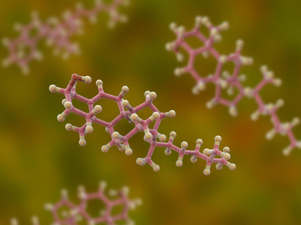 Un premier médicament contre une forme non traitée du “mauvais” cholestérol Un premier médicament contre une forme non traitée du “mauvais” cholestérol