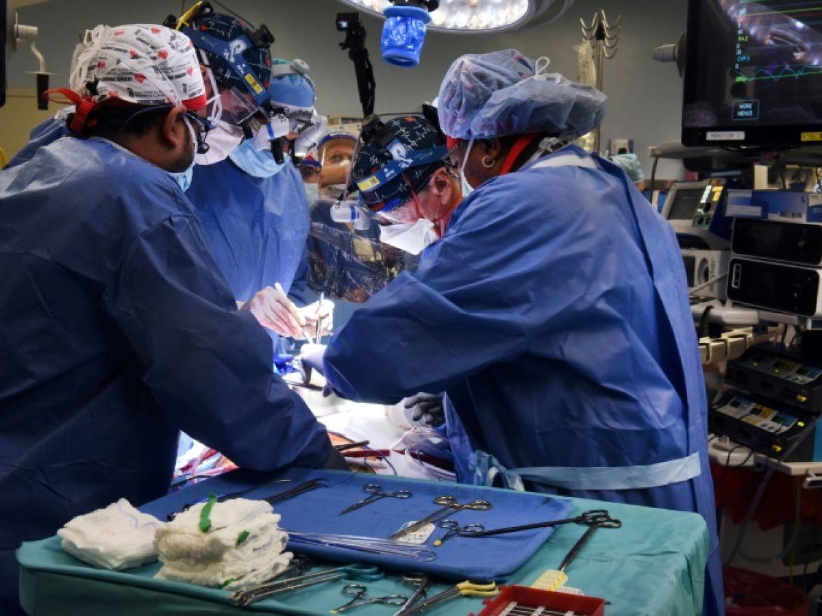 Un coeur de porc a été greffé sur un humain pour la deuxième fois Un coeur de porc a été greffé sur un humain pour la deuxième fois