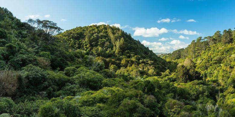 Le huitième continent perdu, Zealandia, enfin cartographié ! Le huitième continent perdu, Zealandia, enfin cartographié !