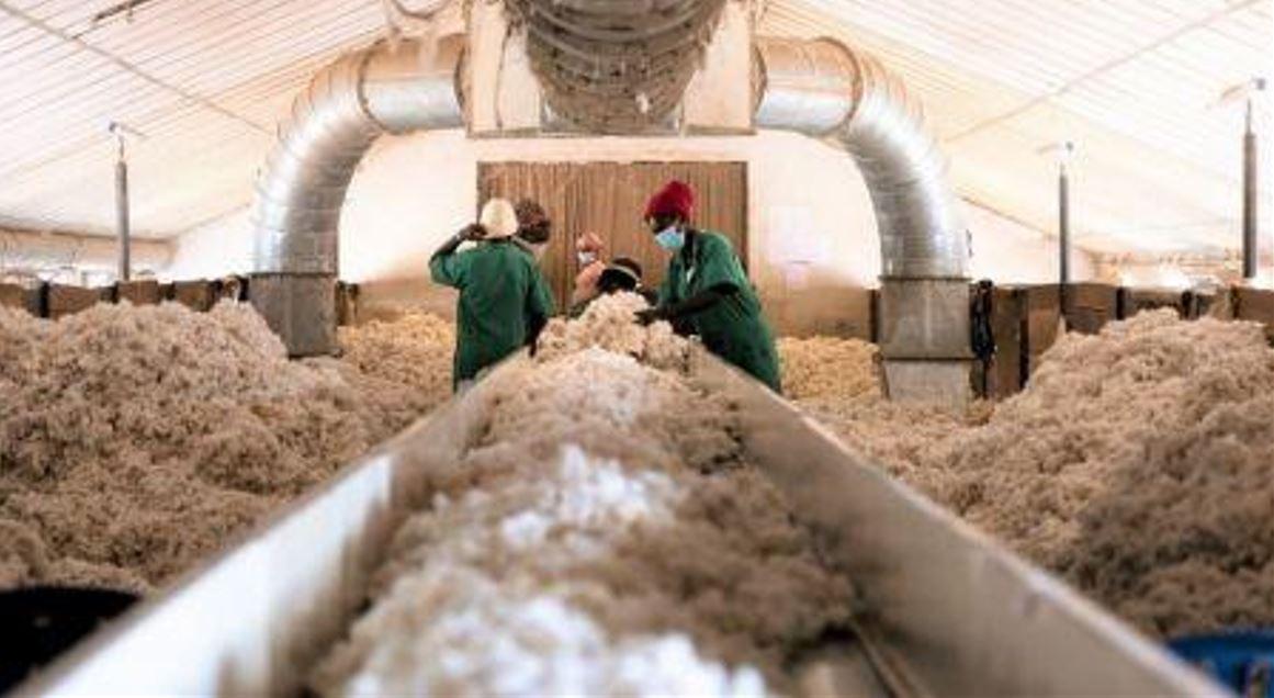 la CMDT injecte plus de 37 millions $ dans la construction d’une usine d’égrenage de coton à Kokofata la CMDT injecte plus de 37 millions $ dans la construction d’une usine d’égrenage de coton à Kokofata