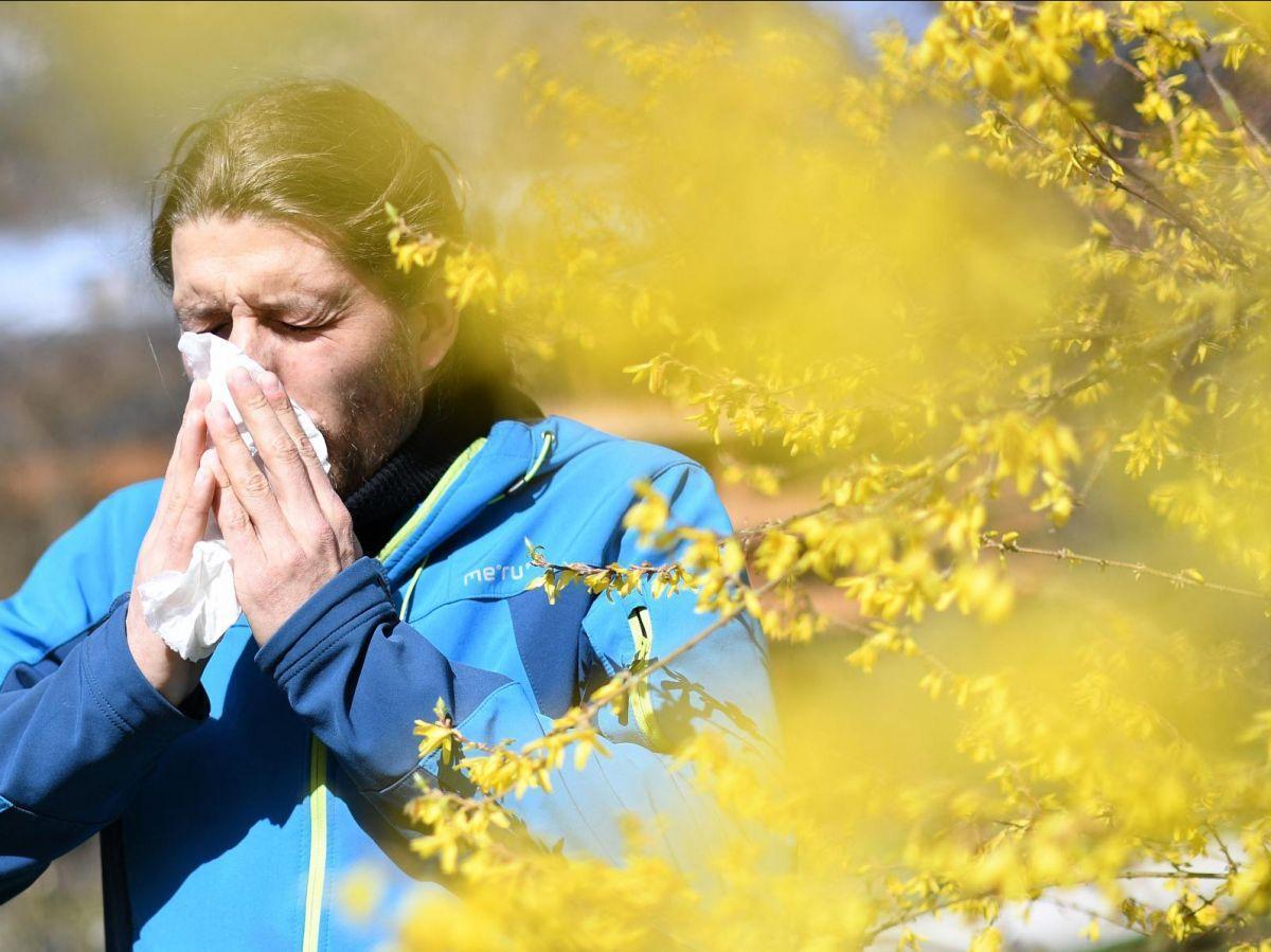 Rhume Des Foins : Ces Gestes Qui Peuvent Soulager Efficacement Les 