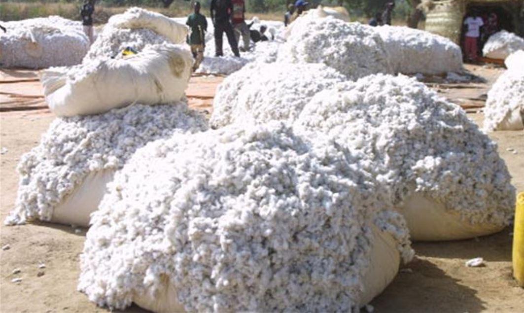 Compagnie malienne pour le développement du textile: Des anciens PDG de la boîte à la barre le 21 octobre prochain Compagnie malienne pour le développement du textile: Des anciens PDG de la boîte à la barre le 21 octobre prochain