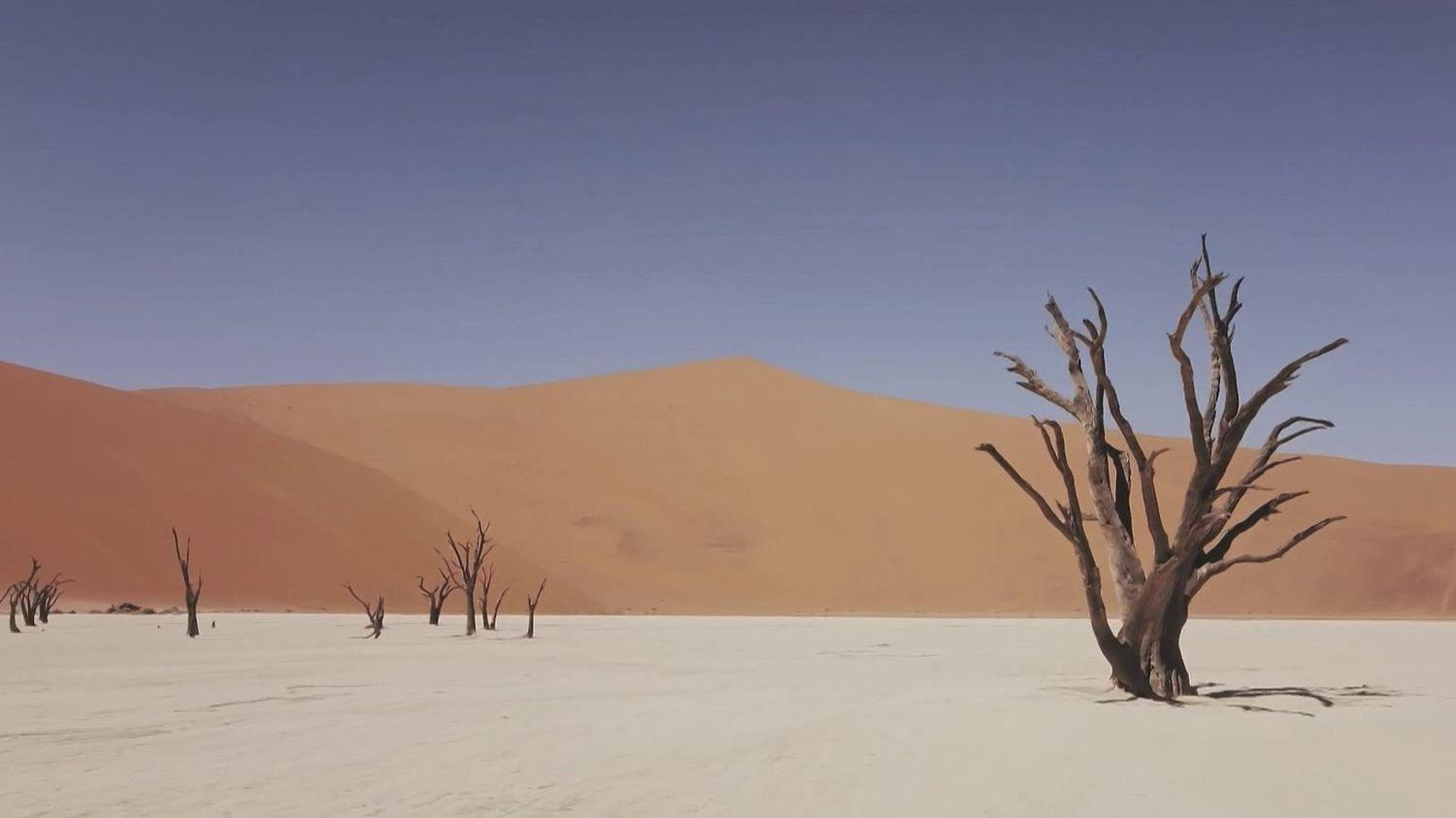 En Namibie, le Plus Vieux Désert du Monde Offre Ses Hauteurs et Ses Paysages Extraterrestres aux Visiteurs En Namibie, le Plus Vieux Désert du Monde Offre Ses Hauteurs et Ses Paysages Extraterrestres aux Visiteurs