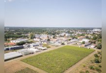 Millésime 2025: Grains de Raisin Alarmants pour la Vigne Millésime 2025: Grains de Raisin Alarmants pour la Vigne