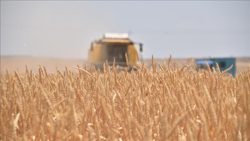 Mali-Russie: Livraisons de Blé et Engrais Coopératifs Mali-Russie: Livraisons de Blé et Engrais Coopératifs