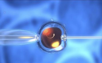 Bébés Conçus par PMA Grandissent-Ils comme les autres Bébés Conçus par PMA Grandissent-Ils comme les autres