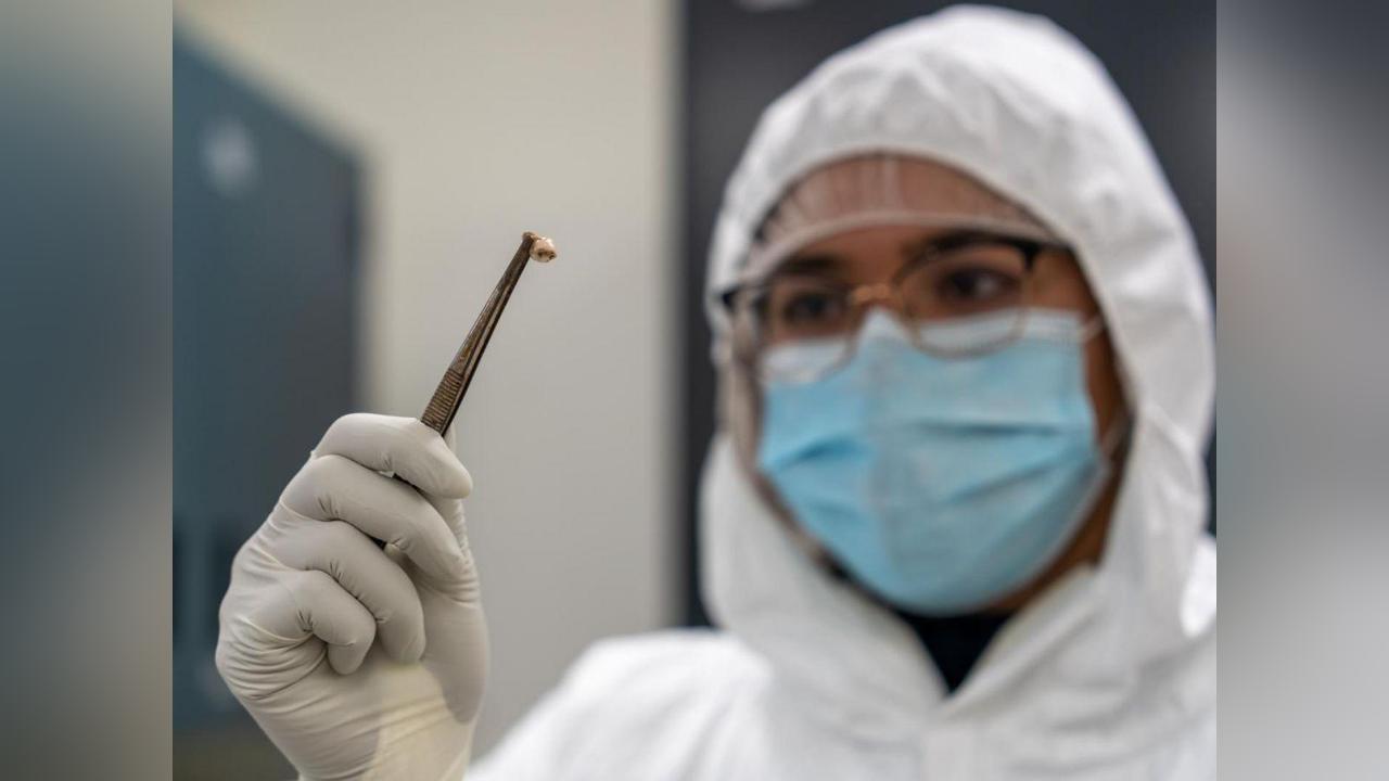 Raisons de la Longévité des Pandémies de Peste Raisons de la Longévité des Pandémies de Peste