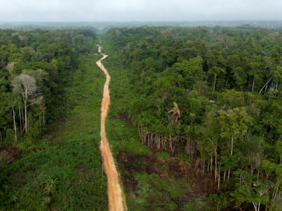 Baisse Record des Émissions de Gaz au Brésil Baisse Record des Émissions de Gaz au Brésil