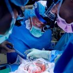 Greffe de Porc chez L’Homme: Défis de la Xénotransplantation Greffe de Porc chez L'Homme: Défis de la Xénotransplantation