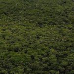 COP32 Accueillie par L’Éthiopie en 2027 COP32 Accueillie par L'Éthiopie en 2027