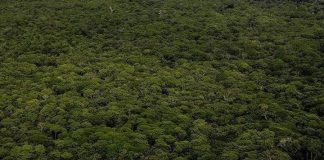 COP32 Accueillie par L’Éthiopie en 2027 COP32 Accueillie par L'Éthiopie en 2027