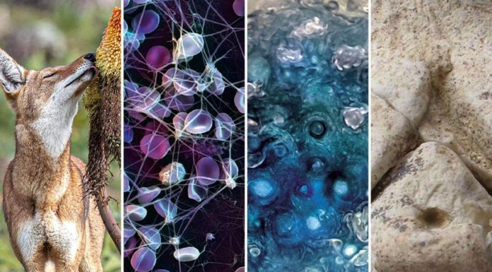 Un Monde À Découvrir: Atomes aux ÉToiles Un Monde À Découvrir: Atomes aux ÉToiles