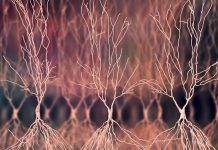 Mémoire sur Souvenirs et Minuteurs Moléculaires Mémoire sur Souvenirs et Minuteurs Moléculaires