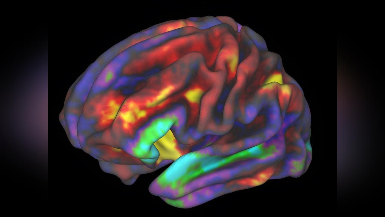 Transcription de la Pensée Visuelle par L’Ia Possible Transcription de la Pensée Visuelle par L’Ia Possible