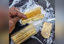 Douanes Maliennes Saisissent or et Poulets Illicites Douanes Maliennes Saisissent or et Poulets Illicites