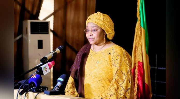 Baisse des Cas de Dengue au Mali, Vigilance Requise Baisse des Cas de Dengue au Mali, Vigilance Requise