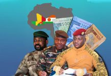 Adieu Franc CFA: la Naissance D’Une Monnaie de Combat Adieu Franc CFA: la Naissance D’Une Monnaie de Combat