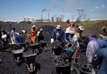 Le Marché Africain du Carbone: Potentiel et Contraintes Le Marché Africain du Carbone: Potentiel et Contraintes