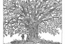 L’Homme qui Plantait des Arbres Revisité en Dessins L’Homme qui Plantait des Arbres Revisité en Dessins